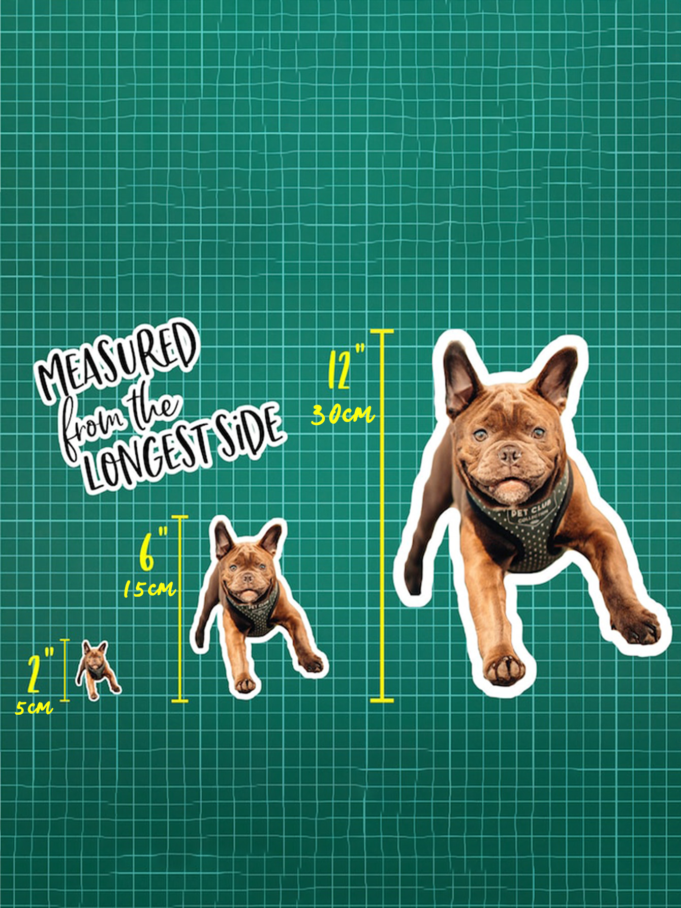 Custom Personalized Pet Photo Stickers